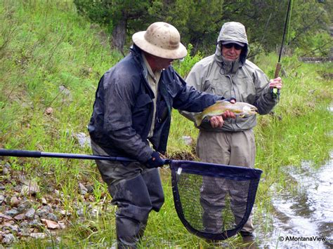 Big Hole River In Late June A Rainy Day And Good Fishing A Montana