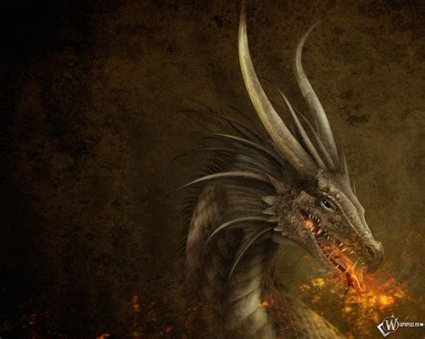 Скачать обои Дракон (Пламя, Дракон) для рабочего стола 1280х1024 (5:4 ...