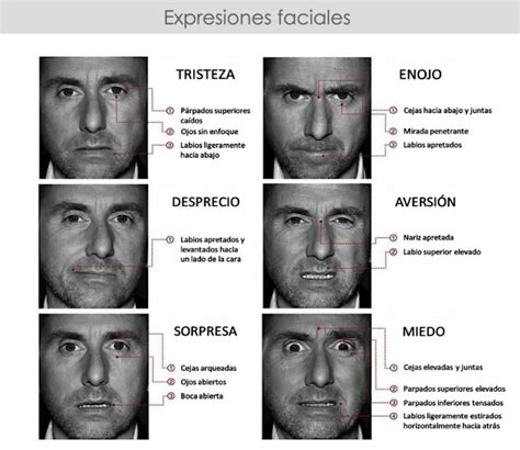 EXPRESIONES FACIALES Y RECONOCIMIENTO EMOCIONAL