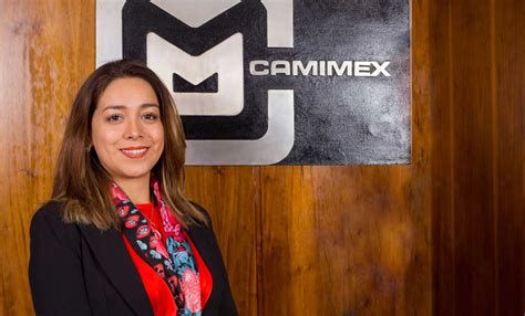 Consejo Directivo Camimex