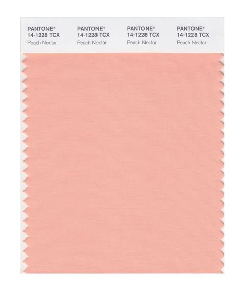 Pantone 14 1228 TCX Swatch Card Peach Nectar Design Info