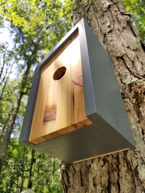 Birdhouse Modern Wooden Birdhouse Minimalist Gray With Danish Oiled Cedar Face Unique Outdoor