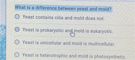 Solved What is a difference, between yeast and mold?Yeast | Chegg.com