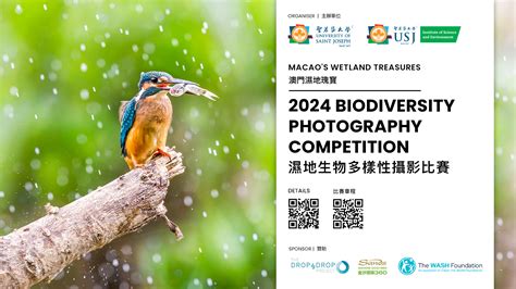 Macao S Wetland Treasures Biodiversity Photography Competition