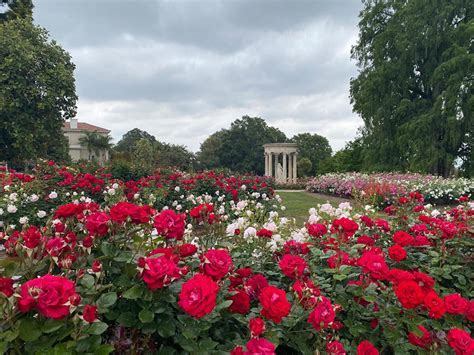 Music in the Rose Garden | The Huntington