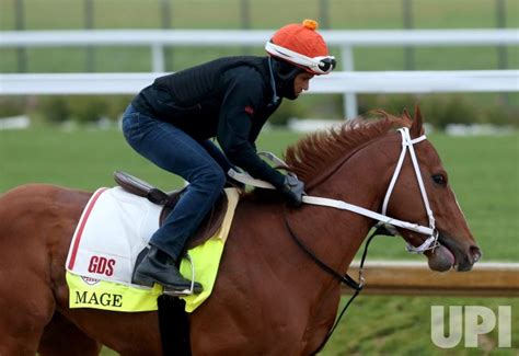 Photo Kentucky Derby Hopeful Mage On The Track Kyp20230428014