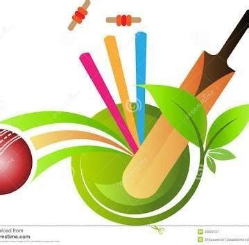rana ameen cricket club okara okara