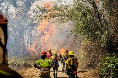 Quito El 99 De Los Incendios Forestales Fueron Provocados