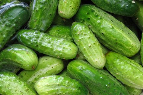 Рецепт огурцов по-польски, которые мы достаем и к обеду, и к ужину