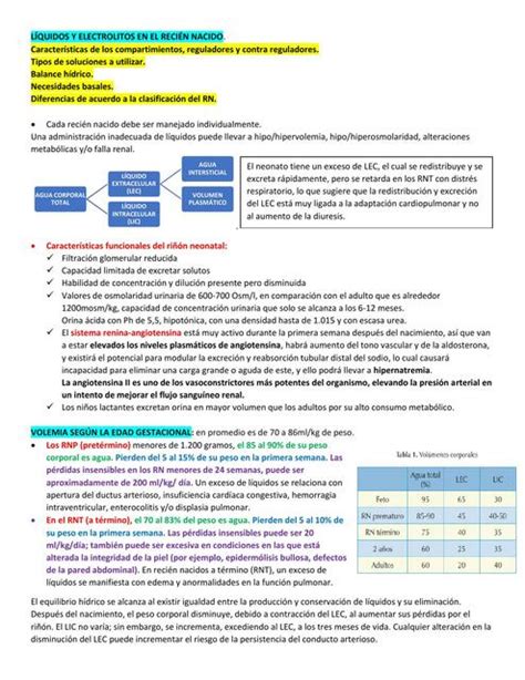 L Quidos Y Electrolitos En El Reci N Nacido Jess Udocz