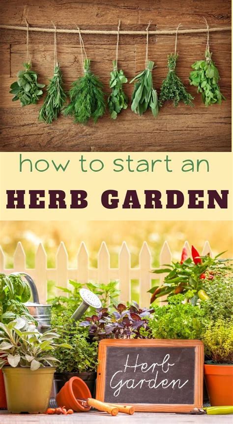 Knowing What To Plant Makes Creating An Easy Herb Garden For Beginners