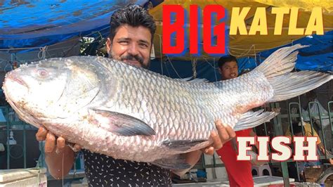 Giant Catla Fish Cutting By Expert Fish Cutter Indian Fish Market