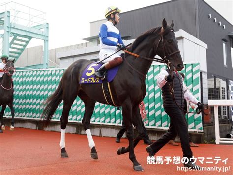 ロードブレス2016年産 競走馬データtop｜競馬予想のウマニティ