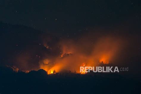 Dampak Perubahan Iklim Venezuela Catat Rekor Kebakaran Hutan Tertinggi