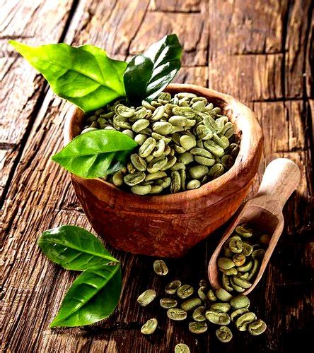 Arabica Green Coffee Beans Manufacturer, Supplier from Mumbai