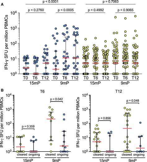 Bk Polyomavirus Specific Mer Cd T Cell Responses Correlate With