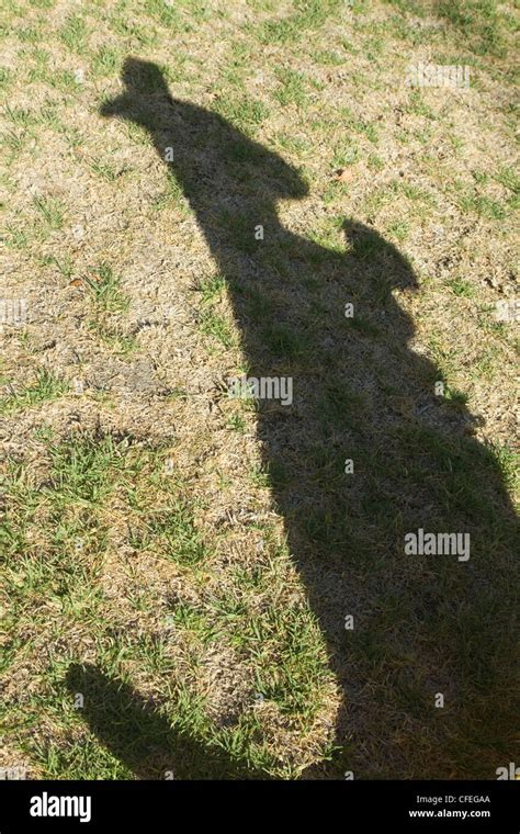 Kangaroo Shadow Adelaide Australia Stock Photo Alamy