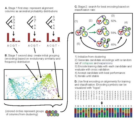 Statistics And Bioinformatics Methods Francesca Chiaromonte