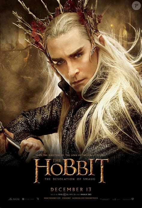 Photo Thranduil Lee Pace dans Le Hobbit La Désolation de Smaug