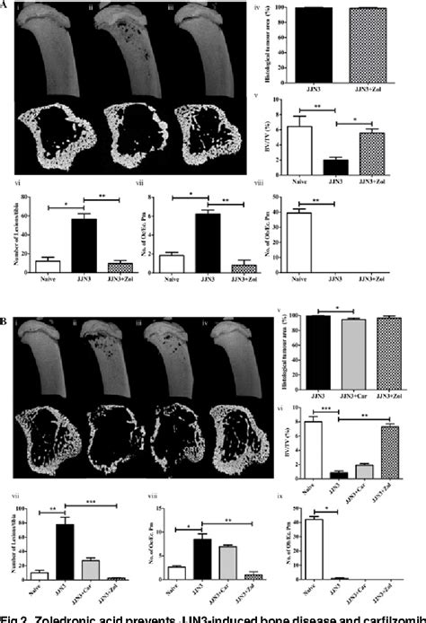 [PDF] NOD/SCID-GAMMA Mice Are an Ideal Strain to Assess the Efficacy of ...