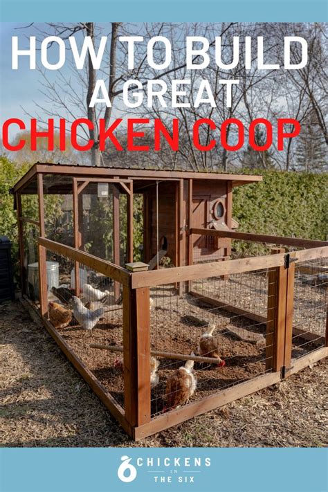 Backyard Chicken Coops For Beginners Chickens In The Six Chicken