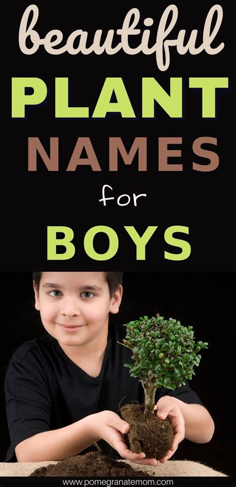 Nature-Inspired Plant Names for Boys