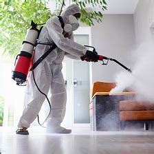 1 Best Expert Pest Control Services In Nairobi 2023