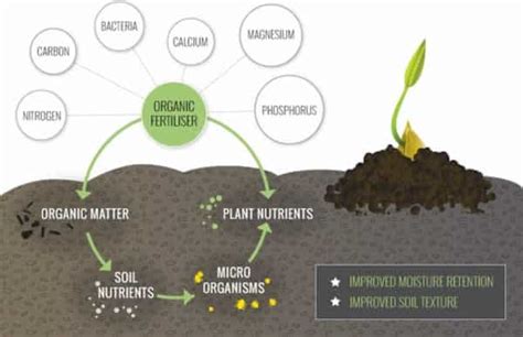 Organic Fertilizers Handyman Tips