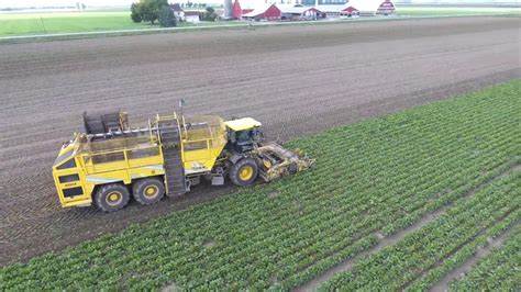 2016 Sugar Beet Harvest With Atwater Farms Ubly Mi Youtube