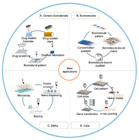 Schematic illustration of major applications of inkjet bioprinting. (A ...