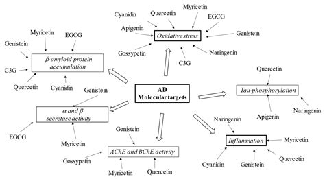 The Neuroprotective Potentiality of Flavonoids on Alzheimer’s Disease ... 