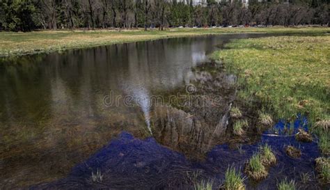 Yosemite Falls Reflections Spring Snowmelt Meadow Water Yosemite