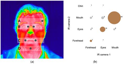 Infrared Thermography To Evaluate Thermal Comfort Under Controlled Ambient Conditions