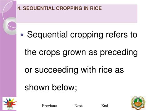 Ppt Inter And Sequential Cropping Crop Rotation In Rice Powerpoint Presentation Id5100431