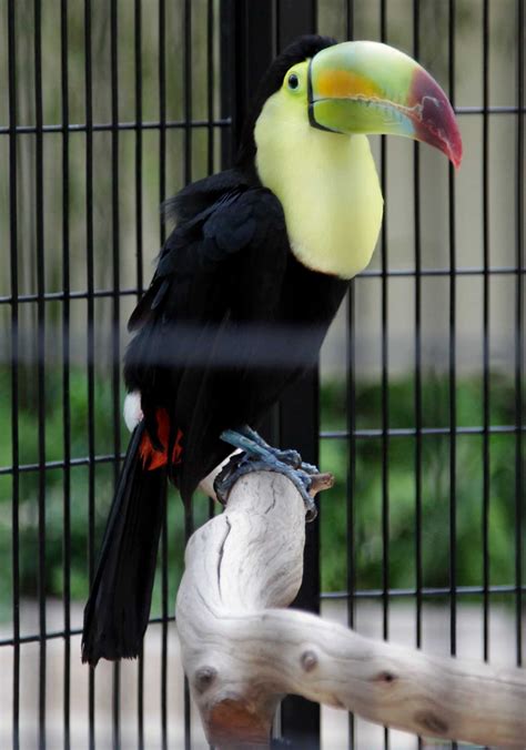 New Gallery Furniture showroom debuts