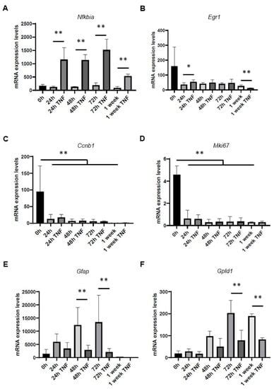 Cells Free Full Text Transcriptional And Chromatin Accessibility