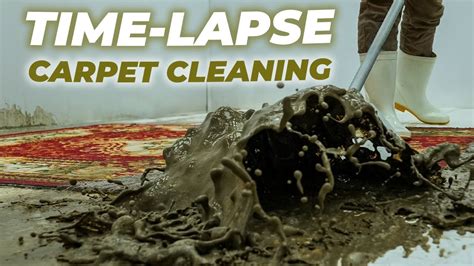 Carpet Cleaning ASMR The Ultimate Carpet Cleaning Time Lapse For