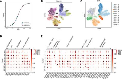 Microbial Single Cell Rna Sequencing By Split Pool Barcoding Science