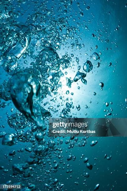 Underwater High Res Stock Photo Getty Images