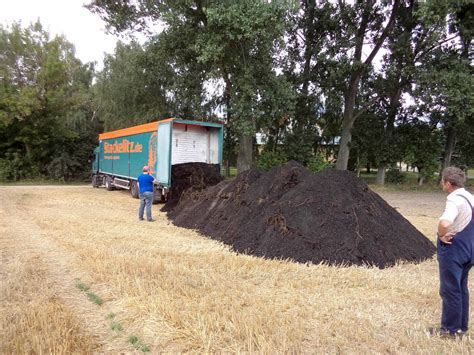 Flächenverbrauch und Bodendegradierung Terra Preta Pflanzenkohle