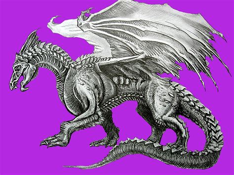 Im Genes Y Dibujos De Dragones Para Dibujar