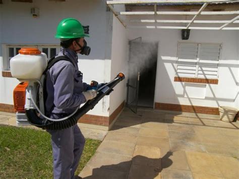 Servicio De Fumigaciones Profesionales Y Econ Micas En Guadalajara