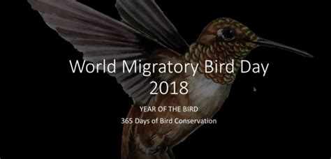 Wmbd Webinar Why Connect Through World Migratory Bird Day Efta