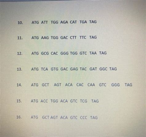 Solved Protein Synthesis Game For this activity you need to | Chegg.com 