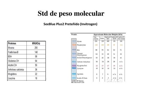 Resultados Inducci N De Prote Na Recombinante Ppt Descargar