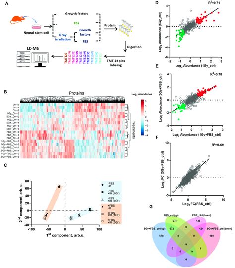 Overview Of The Experimental Design And Protein Expression Profiles Download Scientific