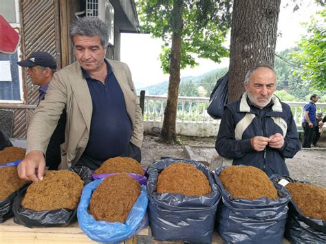 A guide to visiting Adjara mountains in Georgia - Against the Compass