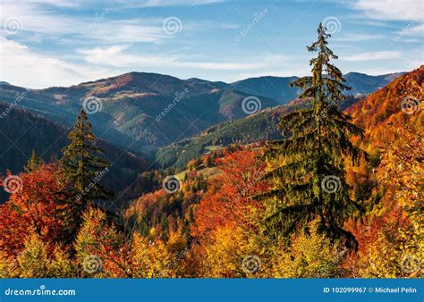 Beautiful Autumn Scenery in Mountains Stock Image - Image of autumn ...