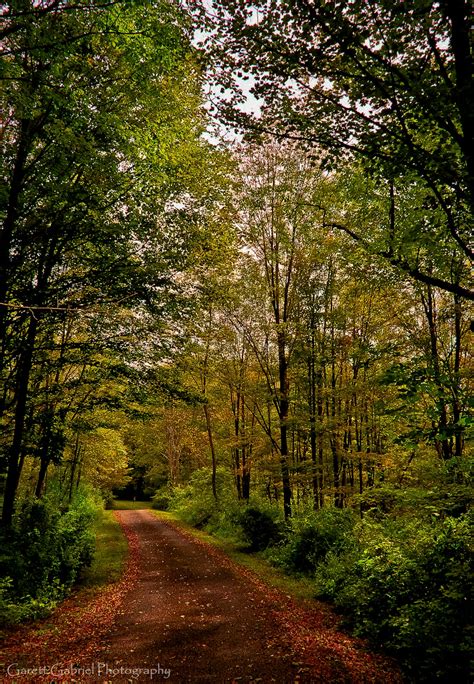 Lackawanna State Park, a Pennsylvania State Park located near