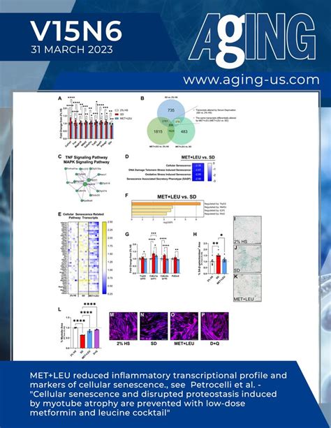 Understanding Human Cell Types and Functions